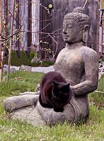 Buddha-poes